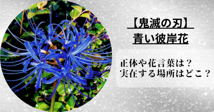 鬼滅の刃に登場する青い彼岸花が実在するか正体や花言葉を調査した。