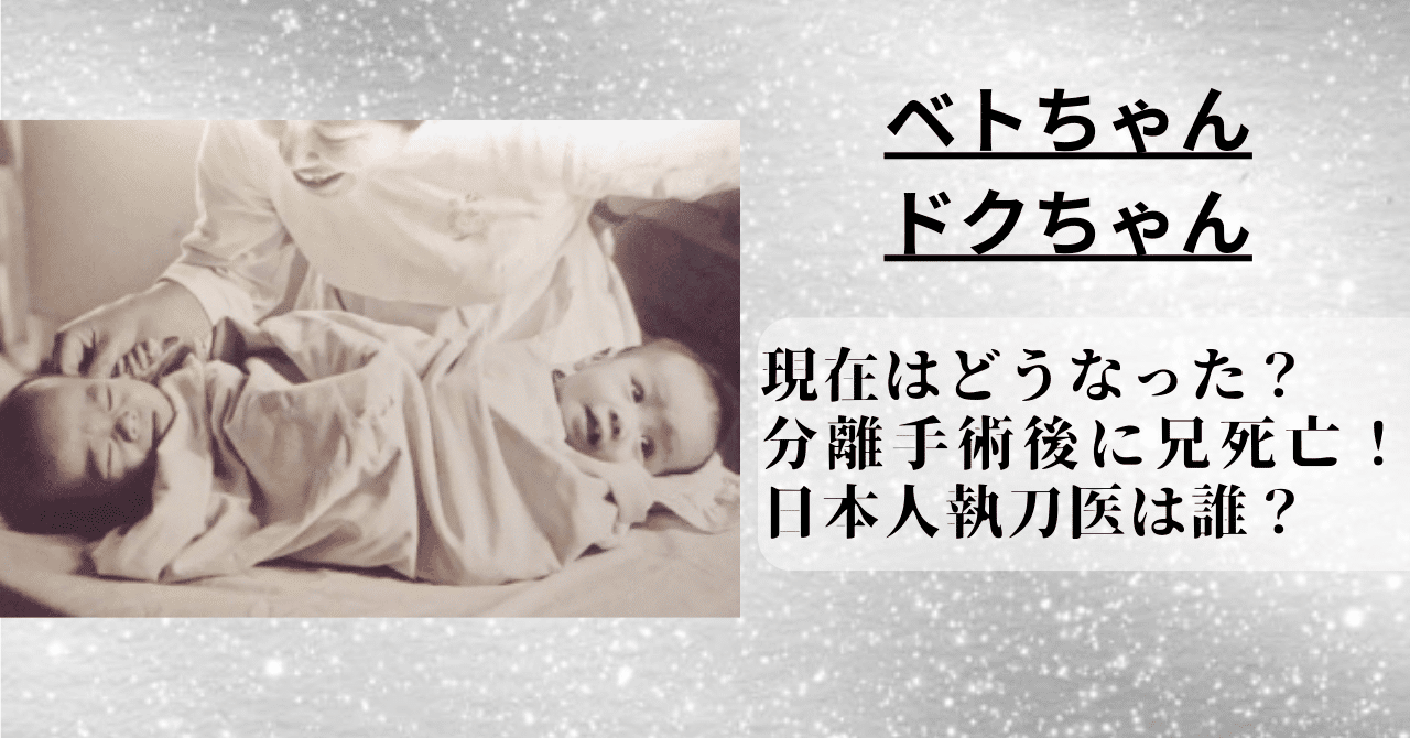 ベトちゃんドクちゃんの現在は分離手術後に兄が死亡したが、日本人執刀医は誰だったのか確認。